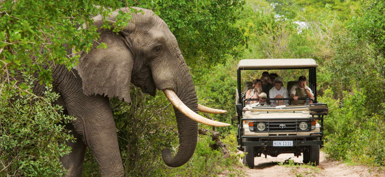 Addo Elephant National Park South Africa 